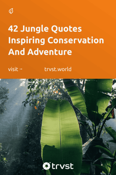 Pinterest Image for 42 Jungle Quotes Inspiring Conservation And Adventure
