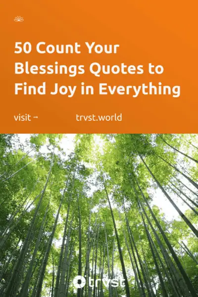 Pinterest Image for 50 Count Your Blessings Quotes to Find Joy in Everything