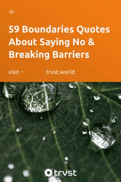Pinterest Image for 59 Boundaries Quotes About Saying No & Breaking Barriers