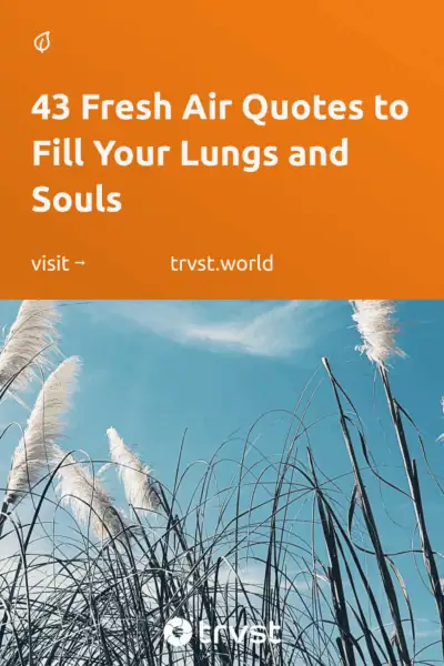 Pinterest Image for 43 Fresh Air Quotes to Fill Your Lungs and Souls