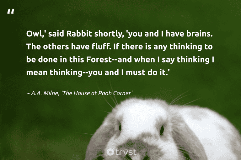 "Owl,' said Rabbit shortly, 'you and I have brains. The others have fluff. If there is any thinking to be done in this Forest--and when I say thinking I mean thinking--you and I must do it.'" -A.A. Milne, ‘The House at Pooh Corner' #trvst #quotes #beinspired #socialchange #rabbit #bunny 