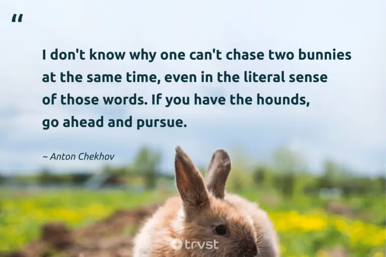 "I don't know why one can't chase two bunnies at the same time, even in the literal sense of those words. If you have the hounds, go ahead and pursue." -Anton Chekhov #trvst #quotes #impact #socialchange #rabbit #bunny 