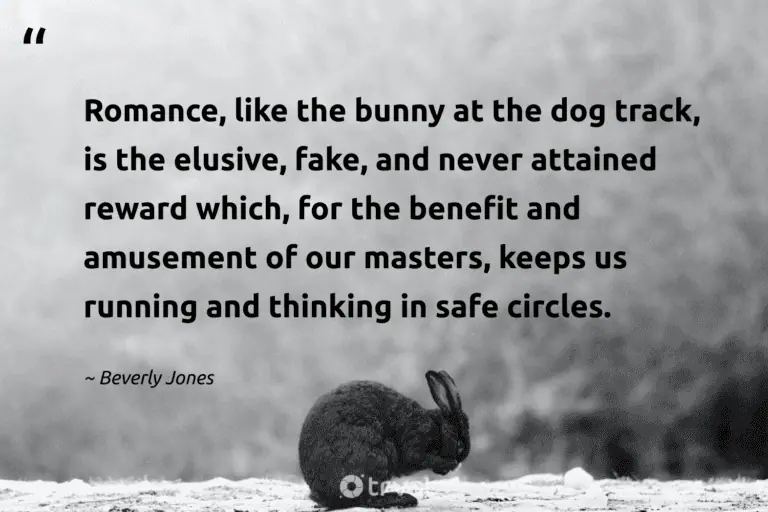 "Romance, like the bunny at the dog track, is the elusive, fake, and never attained reward which, for the benefit and amusement of our masters, keeps us running and thinking in safe circles." -Beverly Jones #trvst #quotes #gogreen #bethechange #rabbit #bunny 