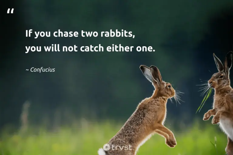 "If you chase two rabbits, you will not catch either one." -Confucius #trvst #quotes #ecoconscious #gogreen #bunny #rabbit 