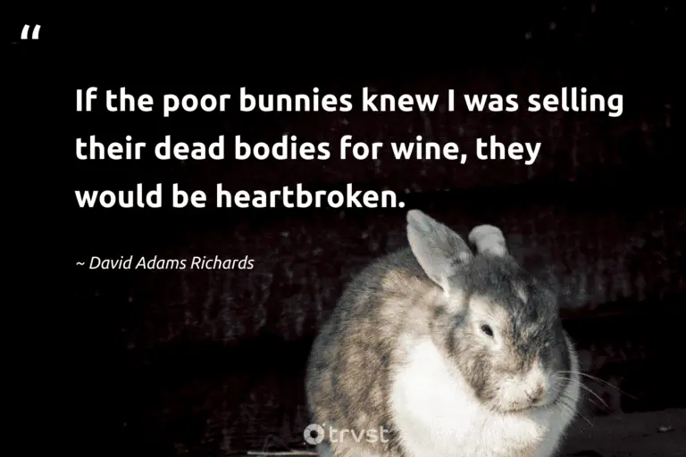 "If the poor bunnies knew I was selling their dead bodies for wine, they would be heartbroken." -David Adams Richards #trvst #quotes #beinspired #socialimpact #bunny #rabbit 