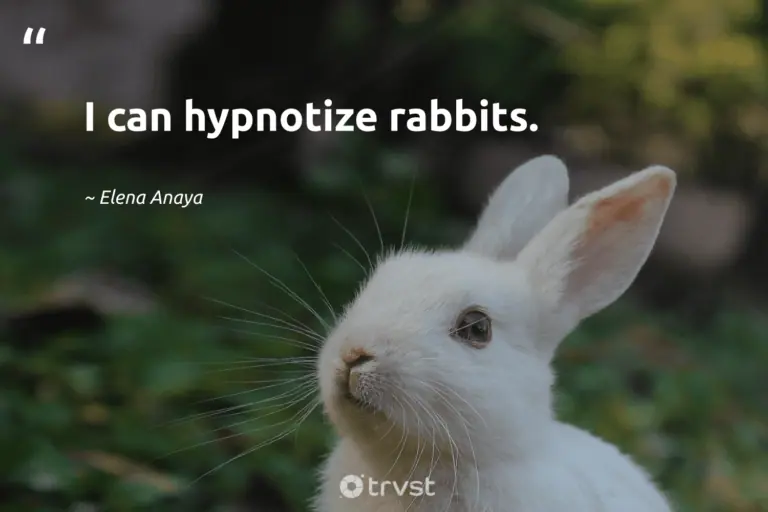 "I can hypnotize rabbits." -Elena Anaya #trvst #quotes #planetearthfirst #ecoconscious #rabbit #bunny 