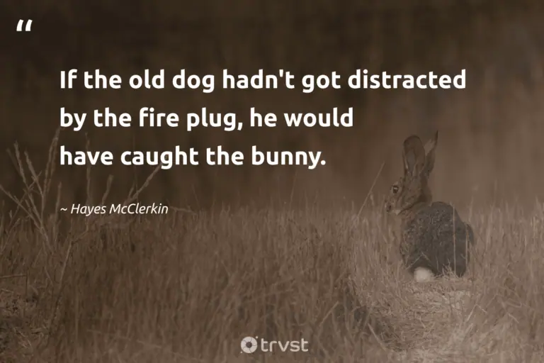 "If the old dog hadn't got distracted by the fire plug, he would have caught the bunny." -Hayes McClerkin #trvst #quotes #impact #takeaction #rabbit #bunny 