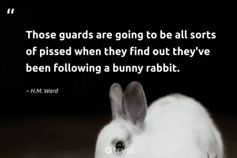 "Those guards are going to be all sorts of pissed when they find out they've been following a bunny rabbit." -H.M. Ward #trvst #quotes #socialimpact #ecoconscious #bunny #rabbit 