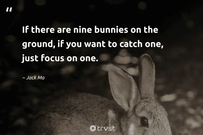"If there are nine bunnies on the ground, if you want to catch one, just focus on one." -Jack Ma #trvst #quotes #thinkgreen #planetearthfirst #rabbit #bunny 