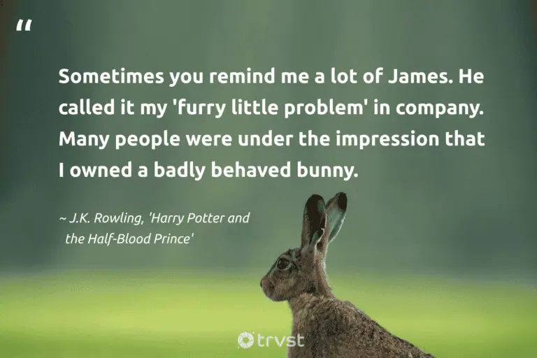 "Sometimes you remind me a lot of James. He called it my 'furry little problem' in company. Many people were under the impression that I owned a badly behaved bunny." -J.K. Rowling, 'Harry Potter and the Half-Blood Prince' #trvst #quotes #planetearthfirst #thinkgreen #rabbit #people #bunny 