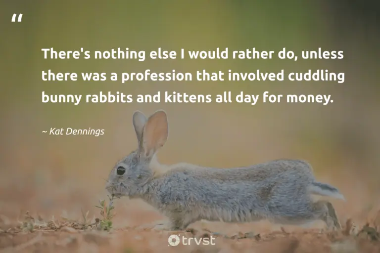"There's nothing else I would rather do, unless there was a profession that involved cuddling bunny rabbits and kittens all day for money." -Kat Dennings #trvst #quotes #takeaction #socialimpact #rabbit #bunny 