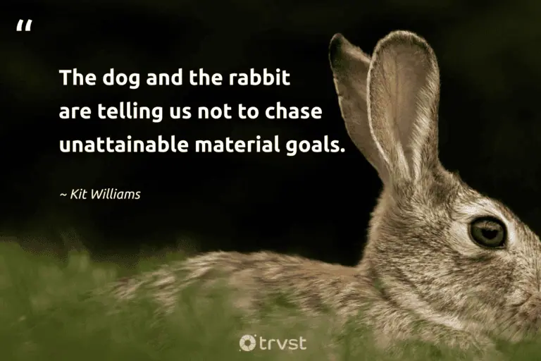 "The dog and the rabbit are telling us not to chase unattainable material goals." -Kit Williams #trvst #quotes #bethechange #dogood #bunny #goals #rabbit 