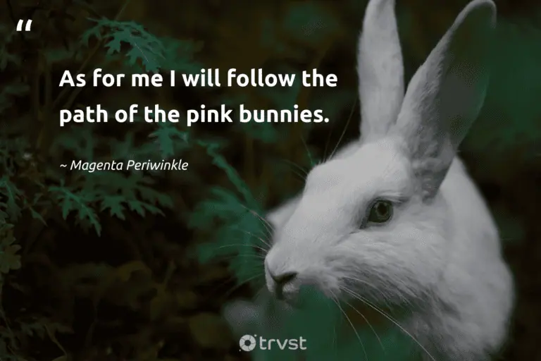"As for me I will follow the path of the pink bunnies." -Magenta Periwinkle #trvst #quotes #gogreen #planetearthfirst #rabbit #bunny 