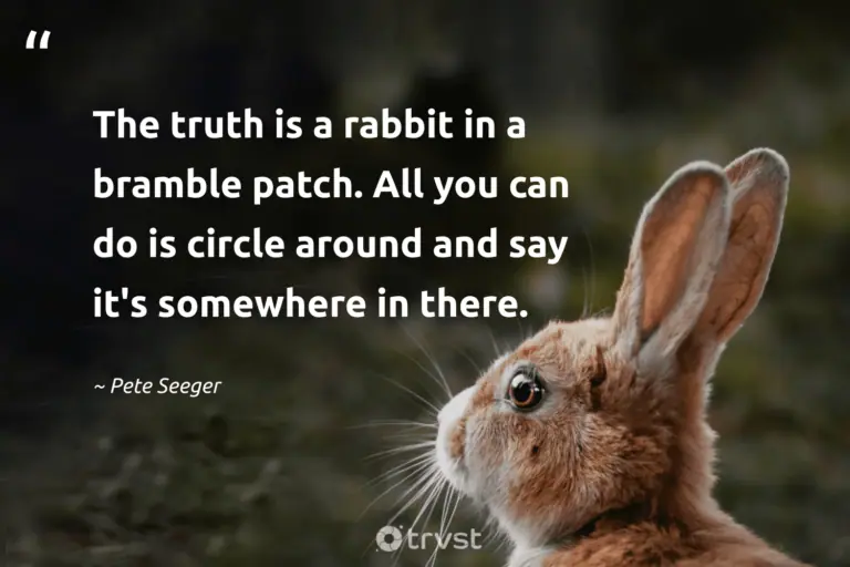 "The truth is a rabbit in a bramble patch. All you can do is circle around and say it's somewhere in there." -Pete Seeger #trvst #quotes #ecoconscious #beinspired #rabbit #truth #bunny 