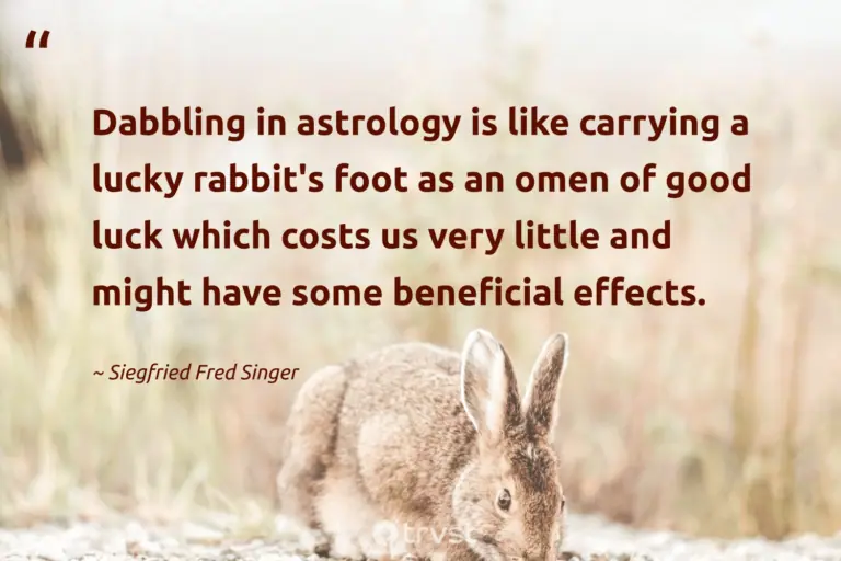 "Dabbling in astrology is like carrying a lucky rabbit's foot as an omen of good luck which costs us very little and might have some beneficial effects." -Siegfried Fred Singer #trvst #quotes #bethechange #socialimpact #rabbit #bunny 