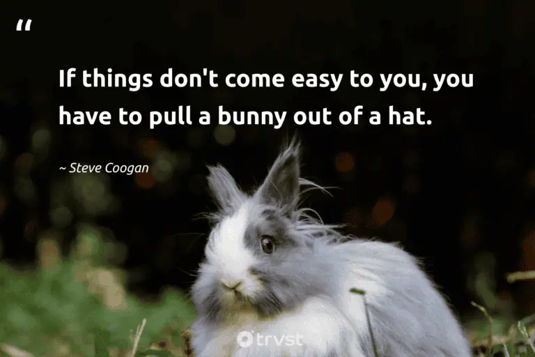 "If things don't come easy to you, you have to pull a bunny out of a hat." -Steve Coogan #trvst #quotes #socialchange #planetearthfirst #rabbit #bunny 
