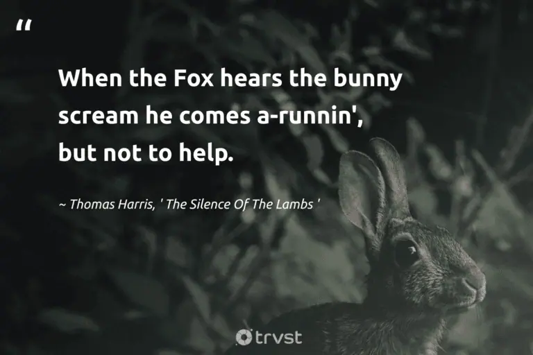 "When the Fox hears the bunny scream he comes a-runnin', but not to help." -Thomas Harris, ' The Silence Of The Lambs ' #trvst #quotes #beinspired #socialchange #bunny #rabbit 