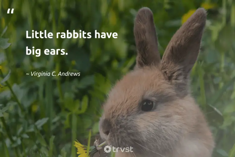 "Little rabbits have big ears." -Virginia C. Andrews #trvst #quotes #collectiveaction #thinkgreen #rabbit #bunny 