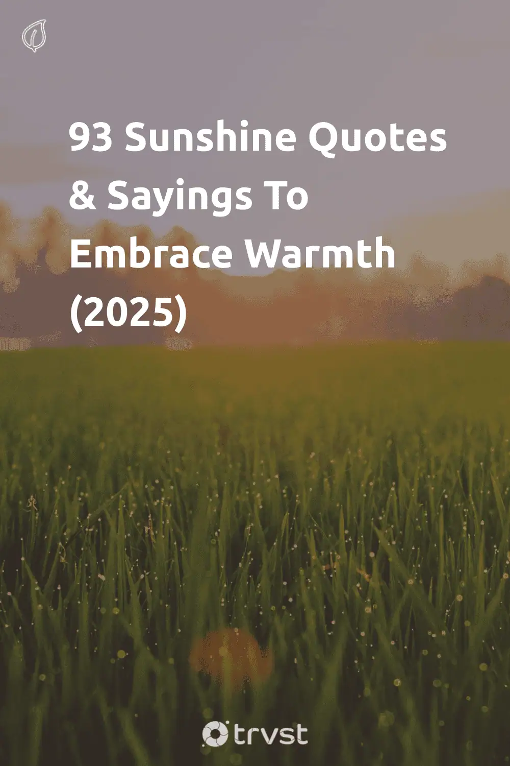 Pinterest Image for 93 Sunshine Quotes & Sayings To Embrace Warmth (2025)