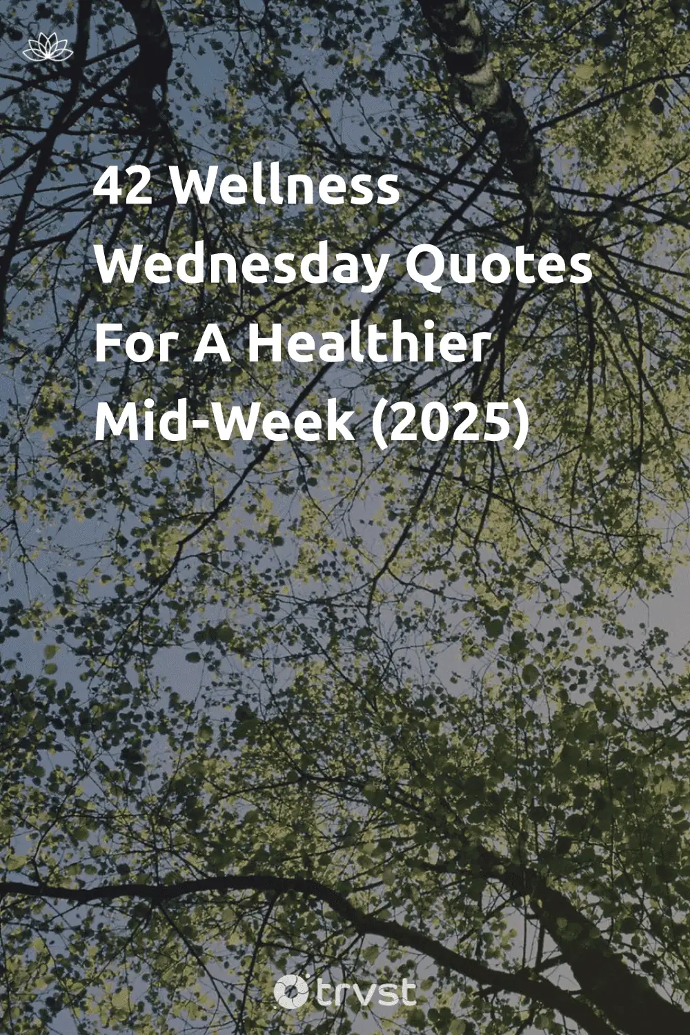 Pinterest Image for 42 Wellness Wednesday Quotes For A Healthier Mid-Week (2025)
