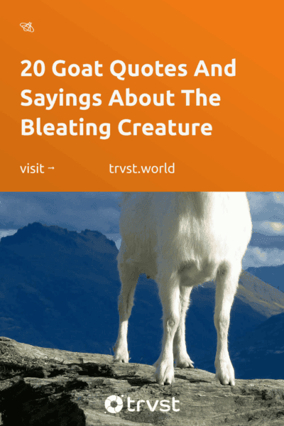 Pinterest Image for 20 Goat Quotes And Sayings About The Bleating Creature