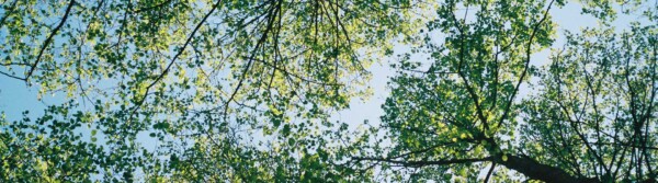 Wellness Wednesday Quotes