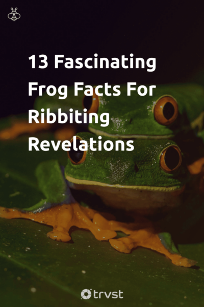 Pin Image Portrait 13 Fascinating Frog Facts For Ribbiting Revelations