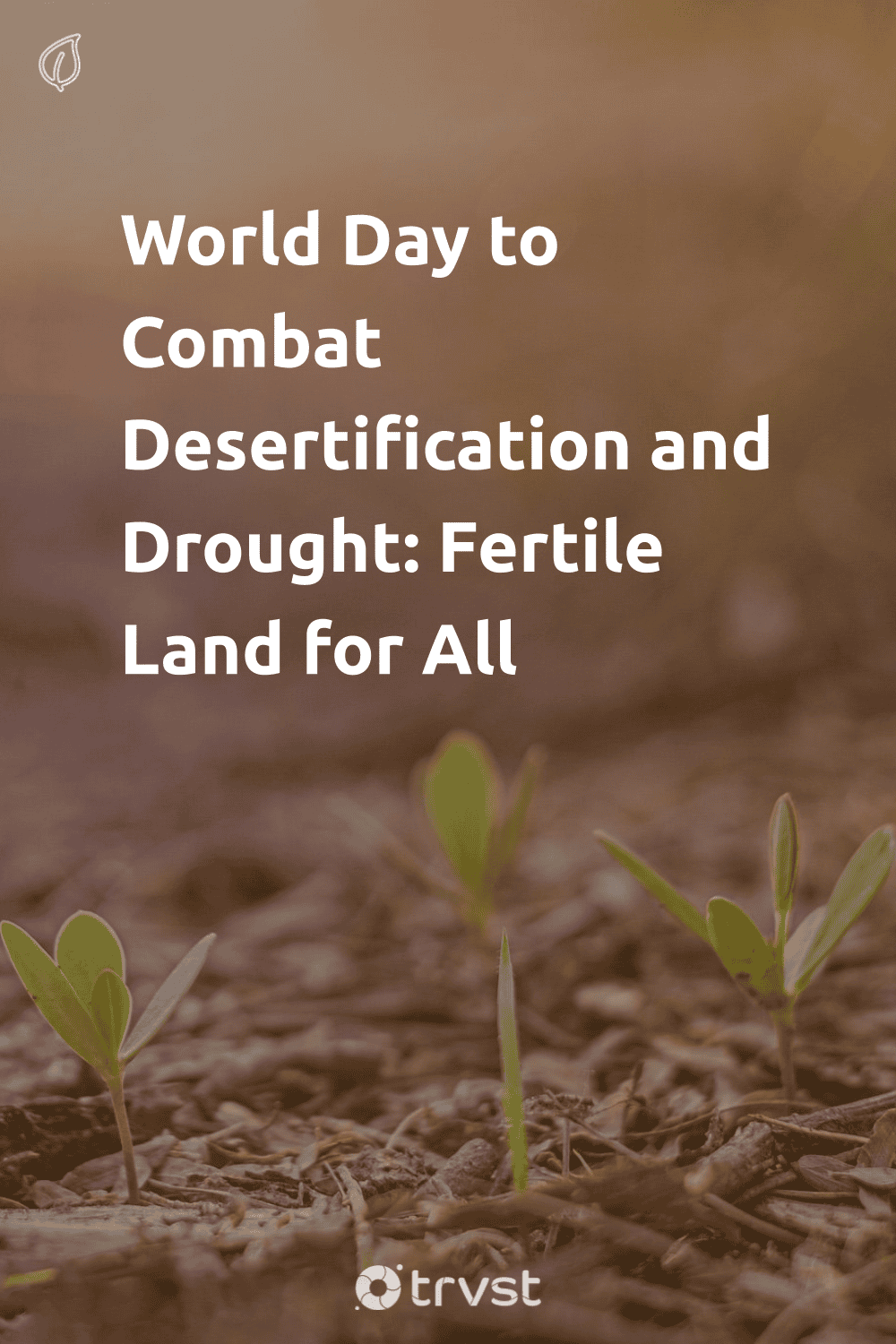 Pinterest Image for World Day to Combat Desertification and Drought: Fertile Land for All