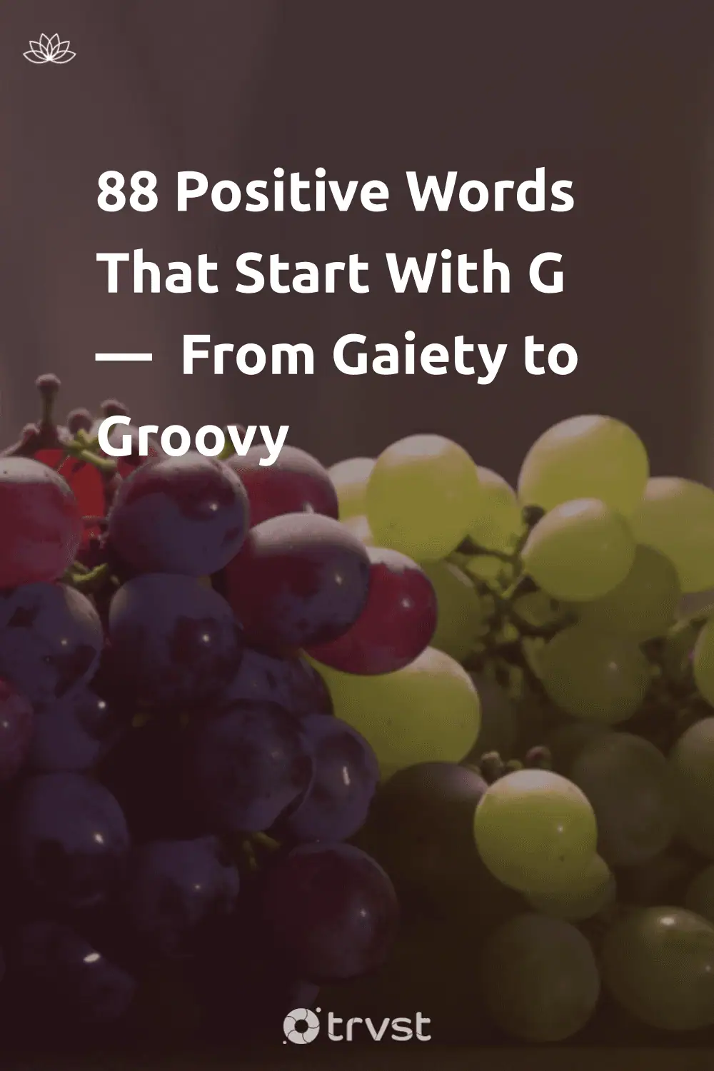 Pinterest Image for 88 Positive Words That Start With G —  From Gaiety to Groovy