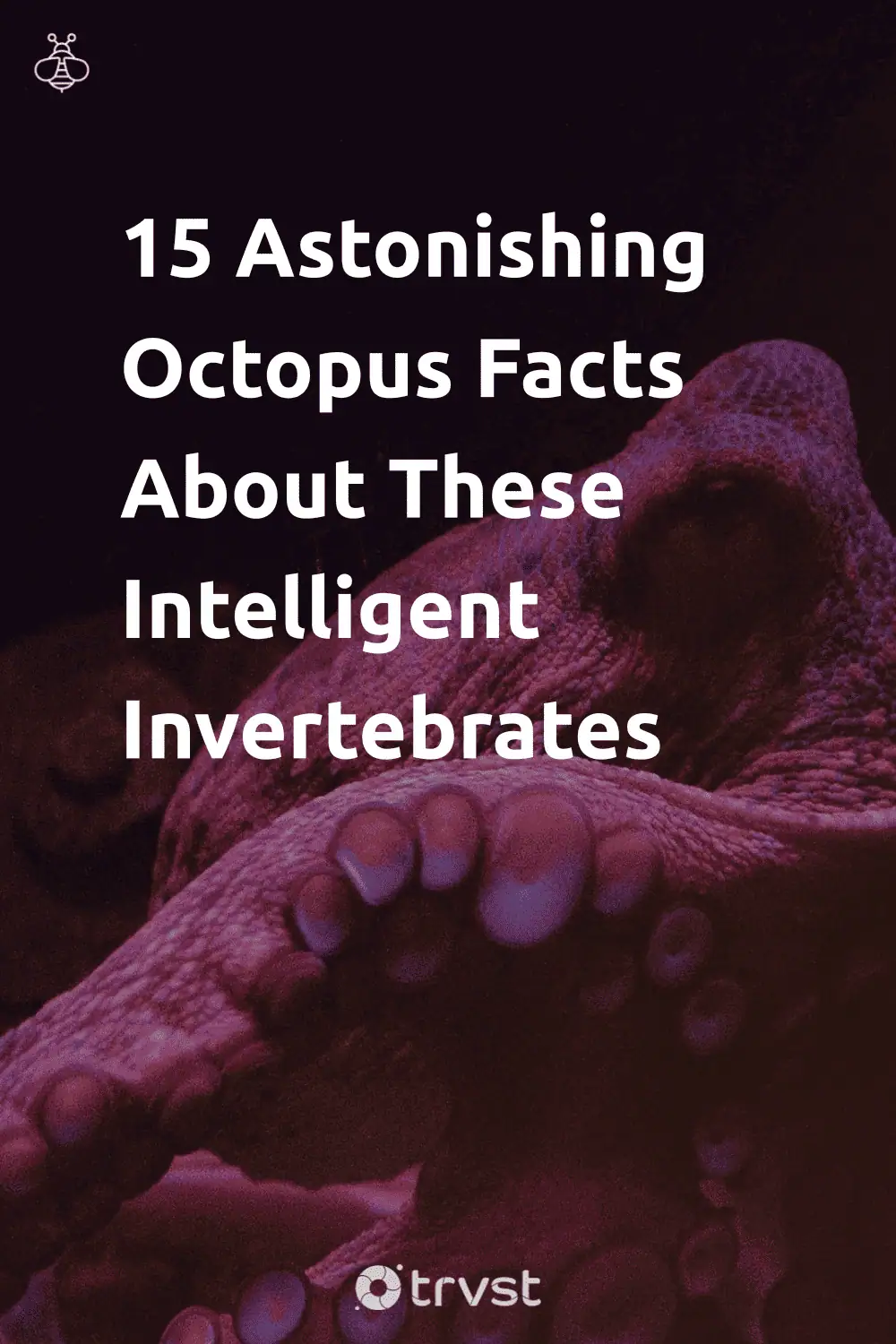 Pinterest Image for 15 Astonishing Octopus Facts About These Intelligent Invertebrates