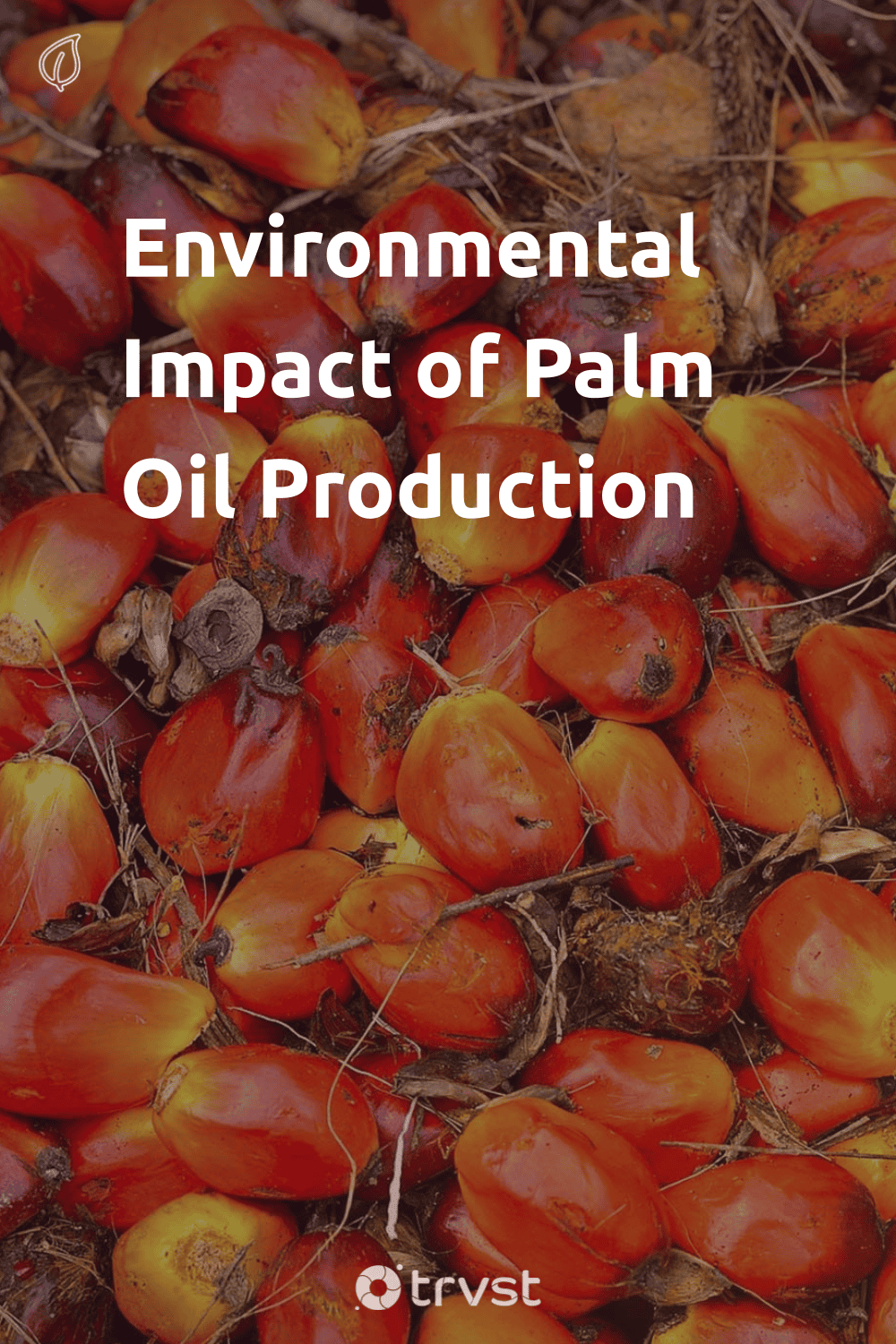 Pinterest Image for Environmental Impact of Palm Oil Production