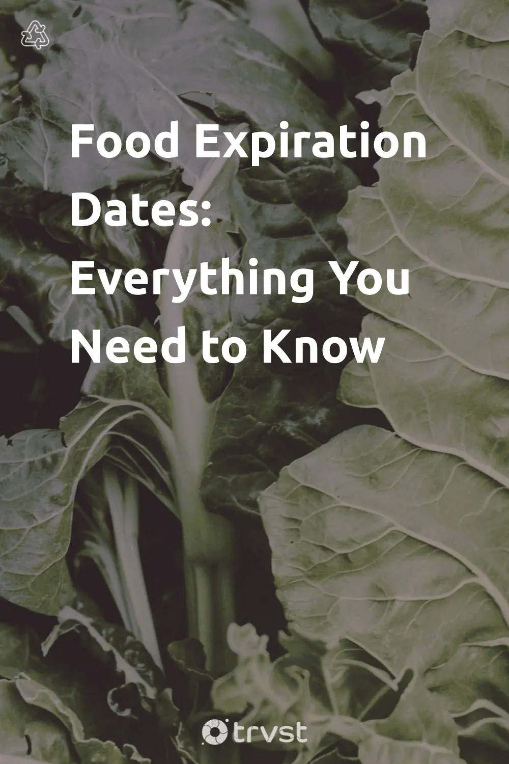 Pinterest Image for Food Expiration Dates: Everything You Need to Know