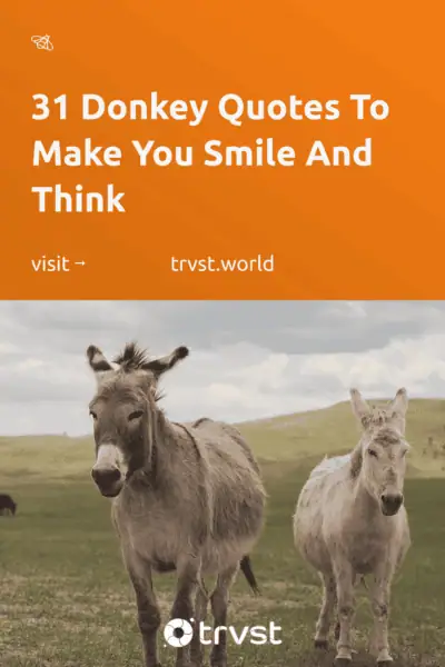 Pinterest Image for 31 Donkey Quotes To Make You Smile And Think