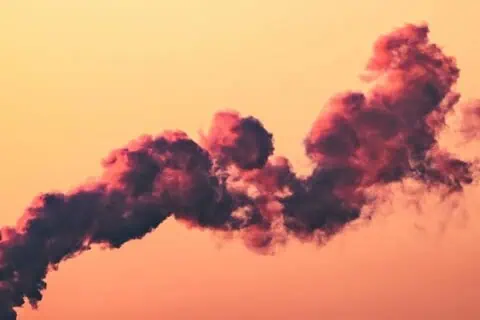 World Asthma Day