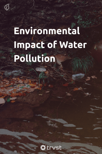 Pin Image Portrait Environmental Impact of Water Pollution