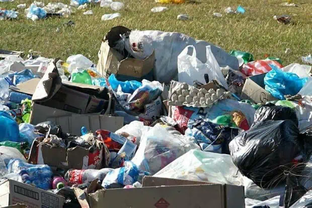 Environmental Impact of Plastic Waste