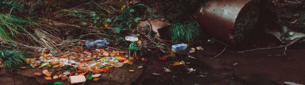Environmental Impact Water Pollution