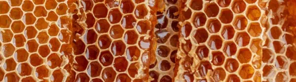 honey quotes