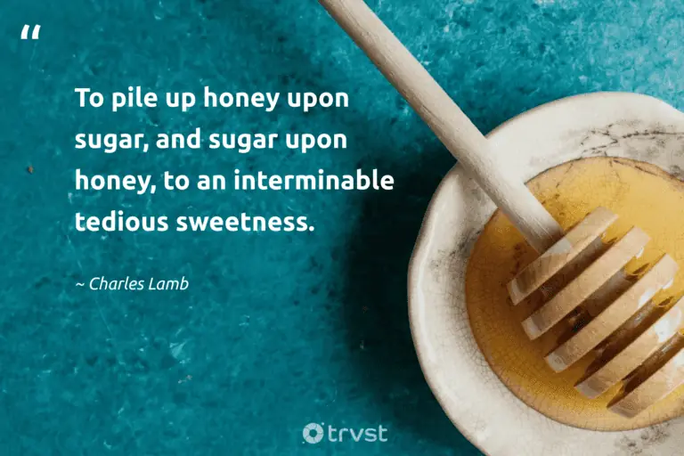"To pile up honey upon sugar, and sugar upon honey, to an interminable tedious sweetness." -Charles Lamb #trvst #quotes #planetearthfirst #beinspired 