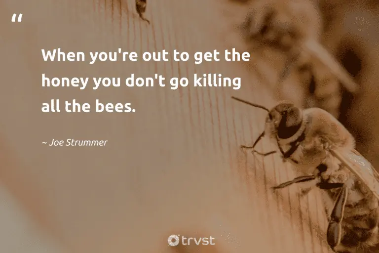"When you're out to get the honey you don't go killing all the bees." -Joe Strummer #trvst #quotes #ecoconscious #dogood 