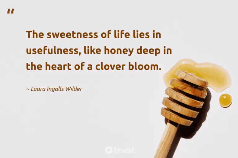 "The sweetness of life lies in usefulness, like honey deep in the heart of a clover bloom." -Laura Ingalls Wilder #trvst #quotes #impact #takeaction #life 