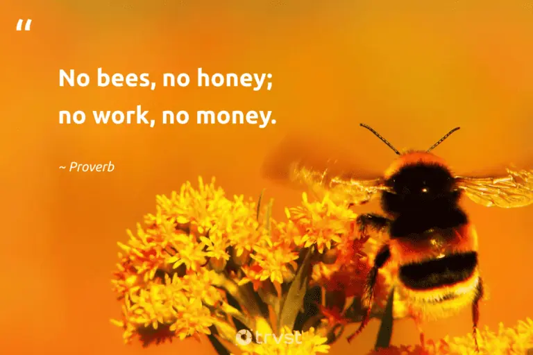 "No bees, no honey; no work, no money." -Proverb #trvst #quotes #dogood #thinkgreen 