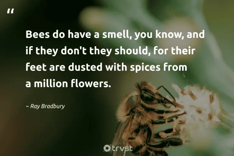 "Bees do have a smell, you know, and if they don't they should, for their feet are dusted with spices from a million flowers." -Ray Bradbury #trvst #quotes #gogreen #thinkgreen #flowers 