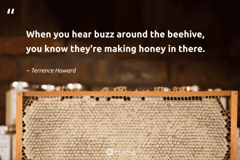 "When you hear buzz around the beehive, you know they're making honey in there." -Terrence Howard #trvst #quotes #beinspired #ecoconscious 