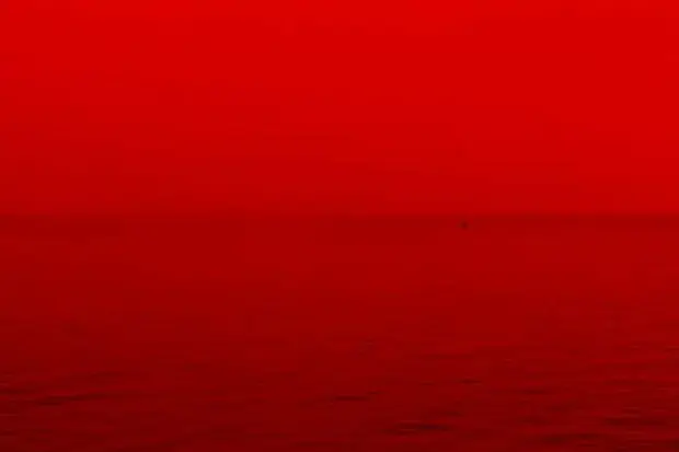 National Wear Red Day: Why it Matters and How to Get Involved