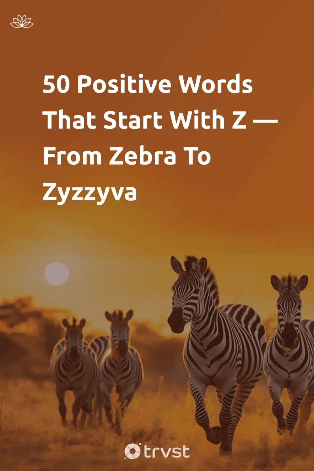 Pinterest Image for 50 Positive Words That Start With Z — From Zebra To Zyzzyva