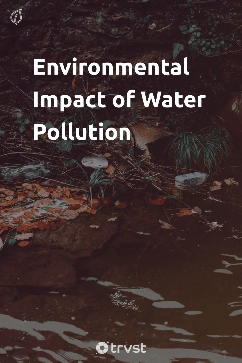 Pinterest Image for Environmental Impact of Water Pollution