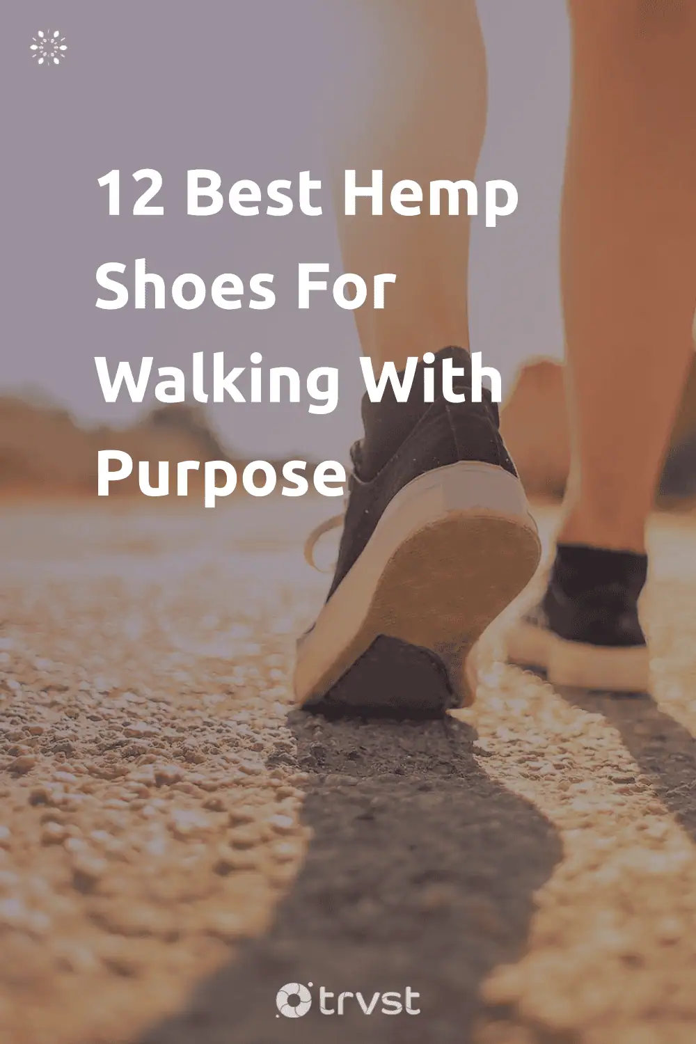 Pinterest Image for 12 Best Hemp Shoes For Walking With Purpose