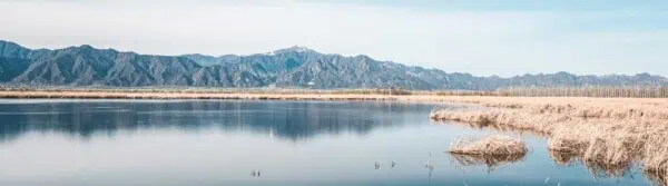 Wetlands Contribution Climate Change