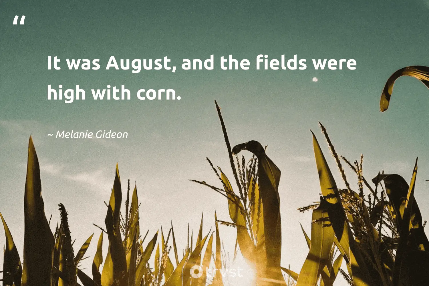 "It was August, and the fields were high with corn." -Melanie Gideon #trvst #quotes #beinspired #bethechange
